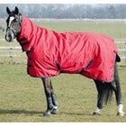 WeatherBeeta Horse Rugs