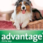 Advantage for Dogs