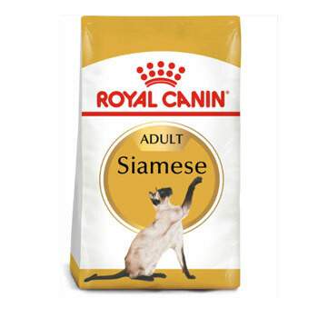Royal Canin Feline Breed Nutrition cat food