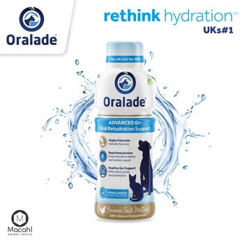 Cooling Products For Dogs