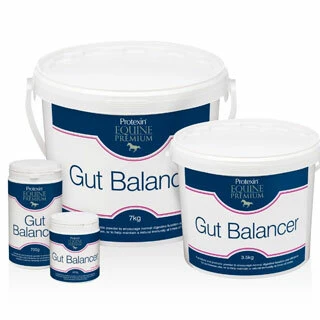 Supplements for Horses