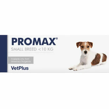 Supplements for Cats