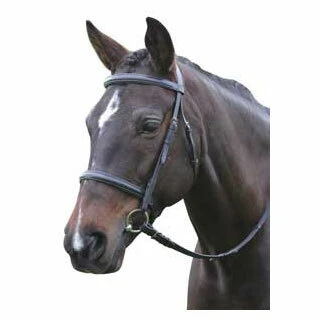 Tack & Horsewear
