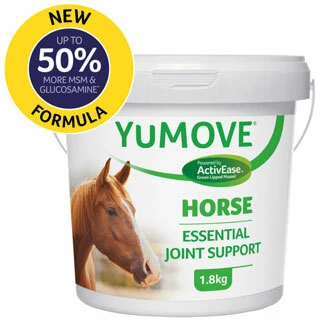 Joints & Mobility Nutrition for Horses