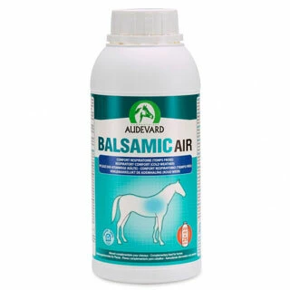 Respiratory Supplements for Horses