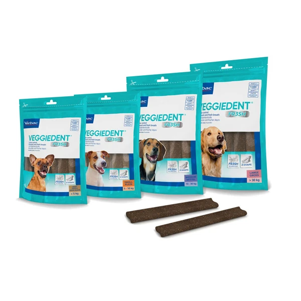 Dog Dental