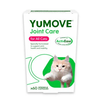Joint and Mobility Supplements for Cats