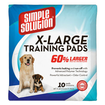 Nappies & Diapers for Dogs