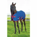 WeatherBeeta Foal Rugs
