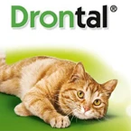 Drontal for Cats