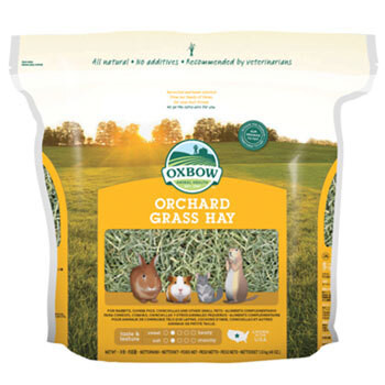 Hay for Small Animals
