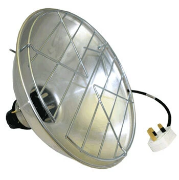 Heat Lamps and Bulbs for Puppies
