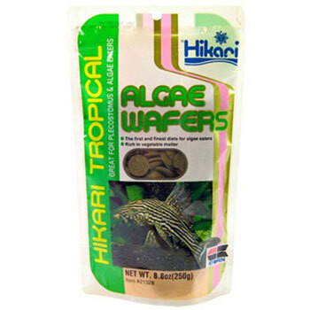 Aquarium Fish Food