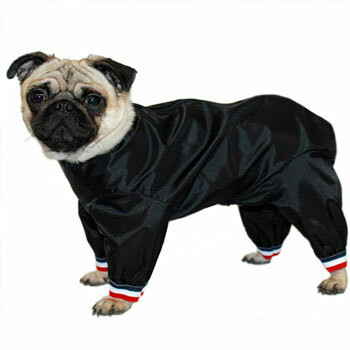 Dog Suits