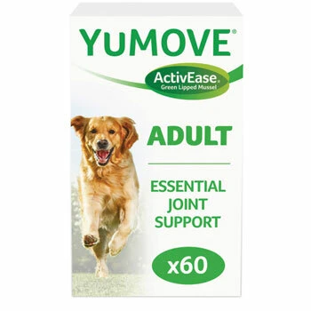 Supplements for Dogs