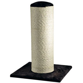 Cat Scratch Posts
