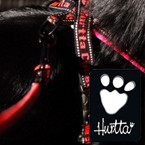 Hurtta Harness