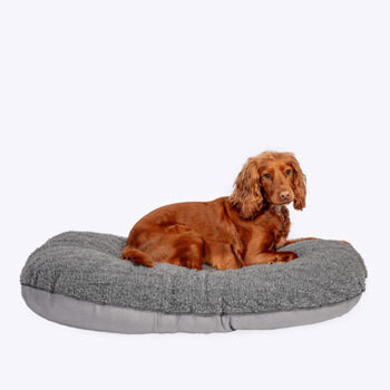 Mattress & Duvets Beds