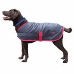 Weatherbeeta Dog Coats