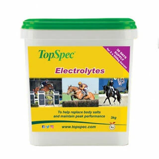 Electrolyte & Rehydration for Horses