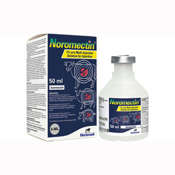 Pig Wormer Injections