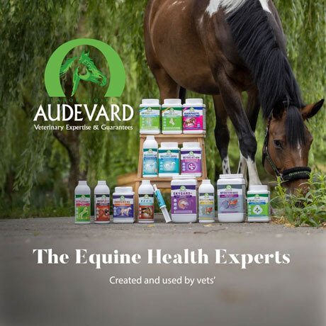 Audevard