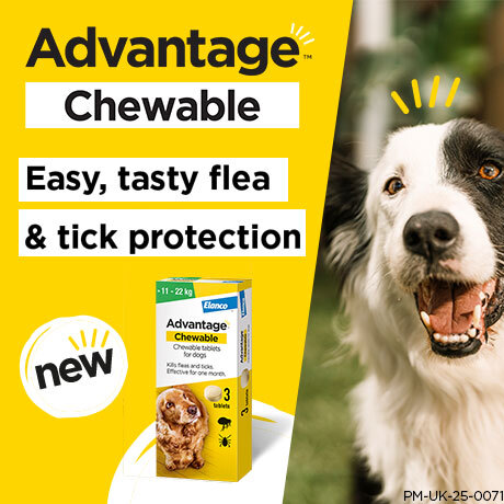 Advantage Chewable