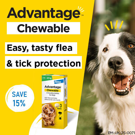 Advantage Chewable