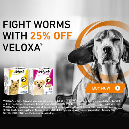 Veloxa