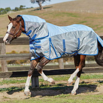 Weatherbeeta Fly Rugs & Masks