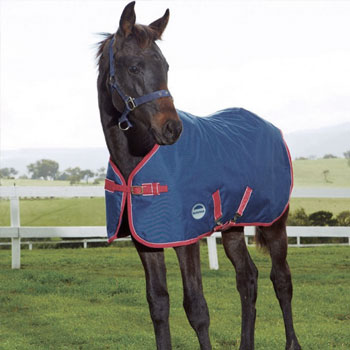 WeatherBeeta Foal Rugs