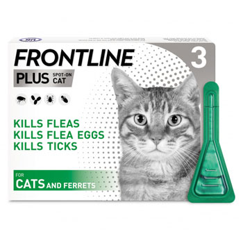 Frontline for Cats