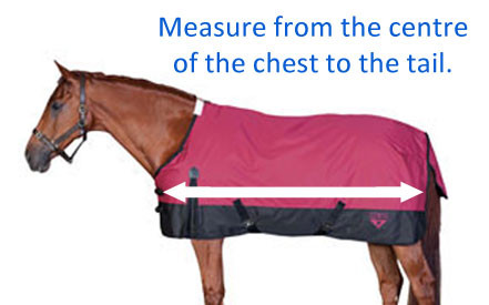 how-to-measure-horse.jpg