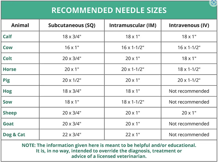 recommended needle sizes