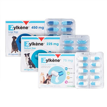 Zylkene Anxiety & Stress in Dogs & Cats