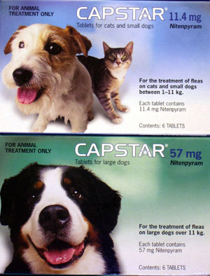 Capstar Flea Medicine For Dogs Prescription Capaction Nitenpyram