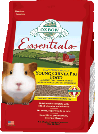 Oxbow Essentials Young Guinea Pig Food