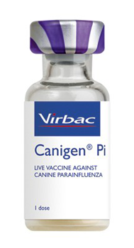 Canigen PI Immunisation Vaccine for Dogs (10 dose) POM