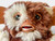 Vintage NECA GREMLINS Scared Gizmo plush toy WARNER BROS 2003 CHINA close up view