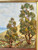 Vintage FLINDERS RANGERS landscape oil painting BARRY MCDERMOTT 1970's AUSTRALIA close up view