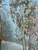 Vintage DAVID MARTIN LONELY RIVER LUNE landscape oil painting 1970's AUSTRALIA close up view