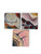 Vintage PHYLLIDA CAMERON COLOURS OF THE KIMBERLEY 2 abstract painting AUSTRALIA group view