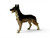 Vintage Alsatian German Shepherd dog porcelain figurine tongue 1940's JAPAN main view