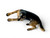 Vintage Alsatian German Shepherd dog reclining stoneware figurine 1960's JAPAN top view