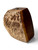 Vintage ironbark burl vase Brutalist SIMON WEBB live raw edge 2000's AUSTRALIA main view