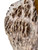 Vintage ironbark burl vase Brutalist SIMON WEBB live raw edge 2000's AUSTRALIA close up view
