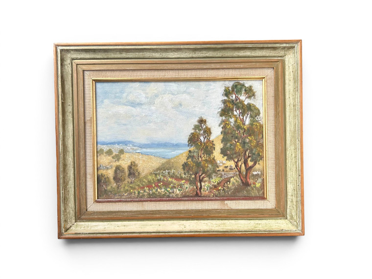Vintage FLINDERS RANGERS landscape oil painting BARRY MCDERMOTT 1970's AUSTRALIA main view