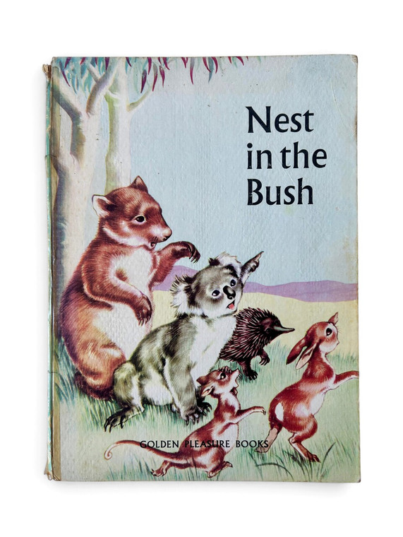 Vintage NEST IN THE BUSH Nan Fullarton hardcover picture book 1962 ITALY main view
