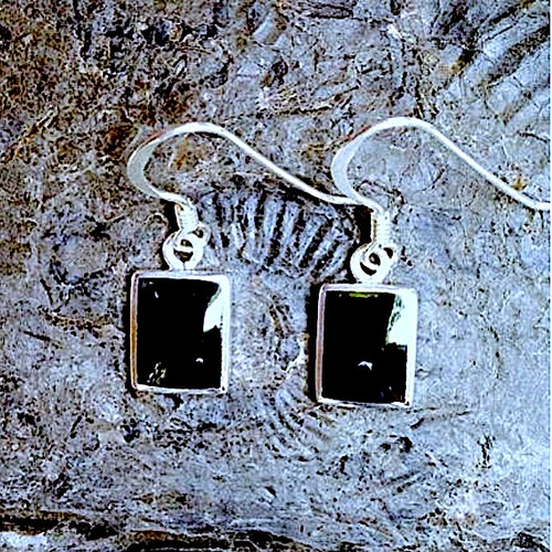 Hand carved rectangular Whitby Jet and 925 sterling silver drop earrings