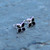 Hand crafted Whitby Jet and sterling silver four leaf clover multi stone stud earrings